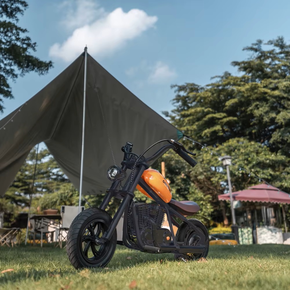 CHALLENGER12 vista 5