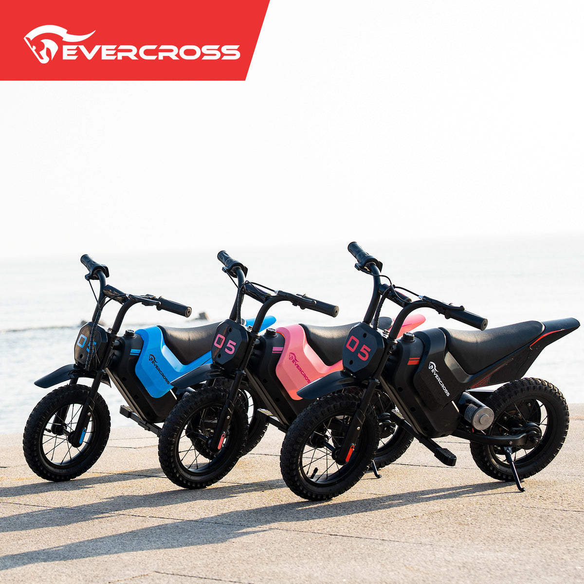 EVERCROSS EV05M vista 8