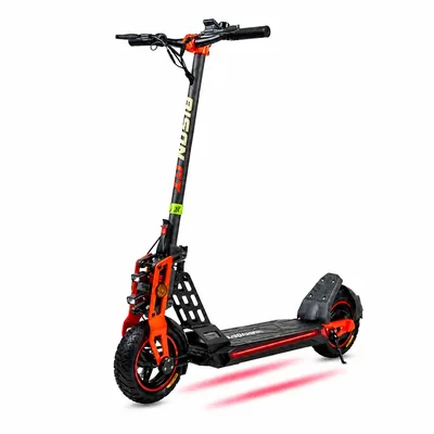 Ecoxtrem Bison GT Carbon Design
