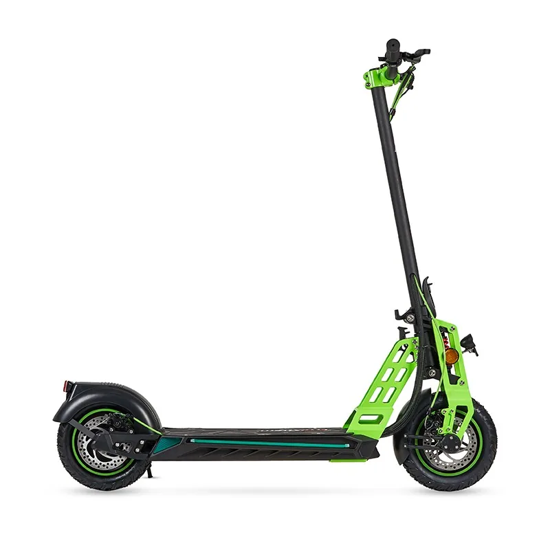 Ecoxtrem Bison vista 1