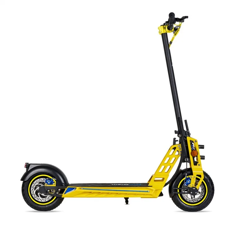 Ecoxtrem Bison vista 12