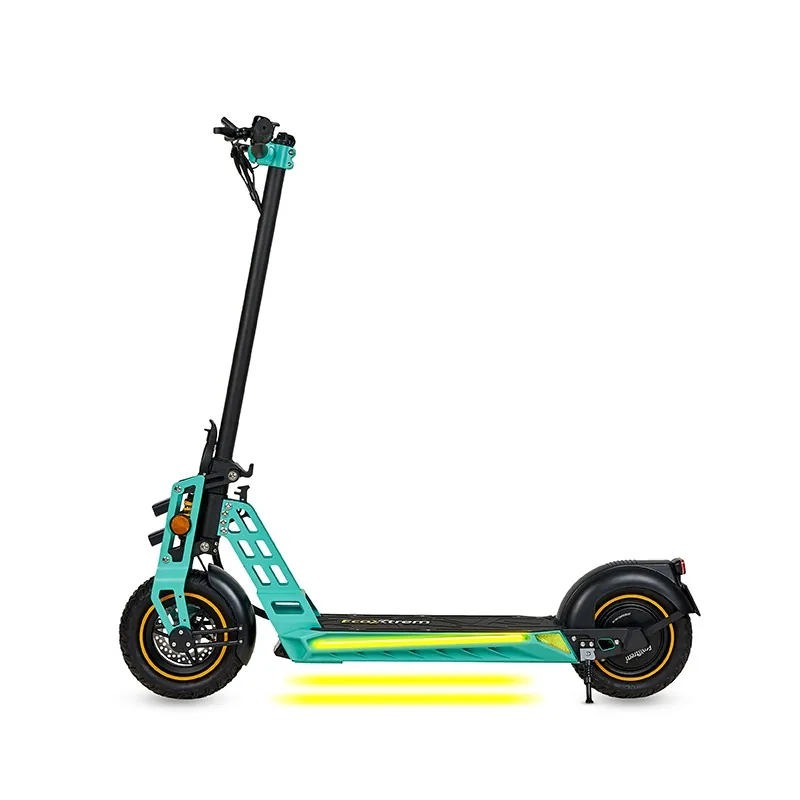 Ecoxtrem Bison vista 14