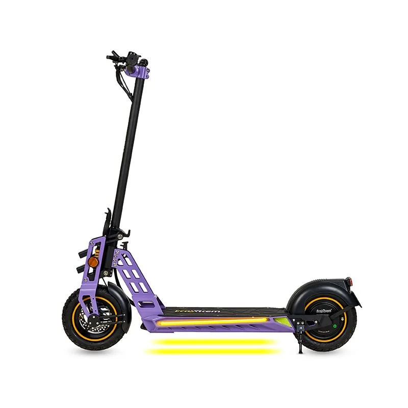 Ecoxtrem Bison vista 16