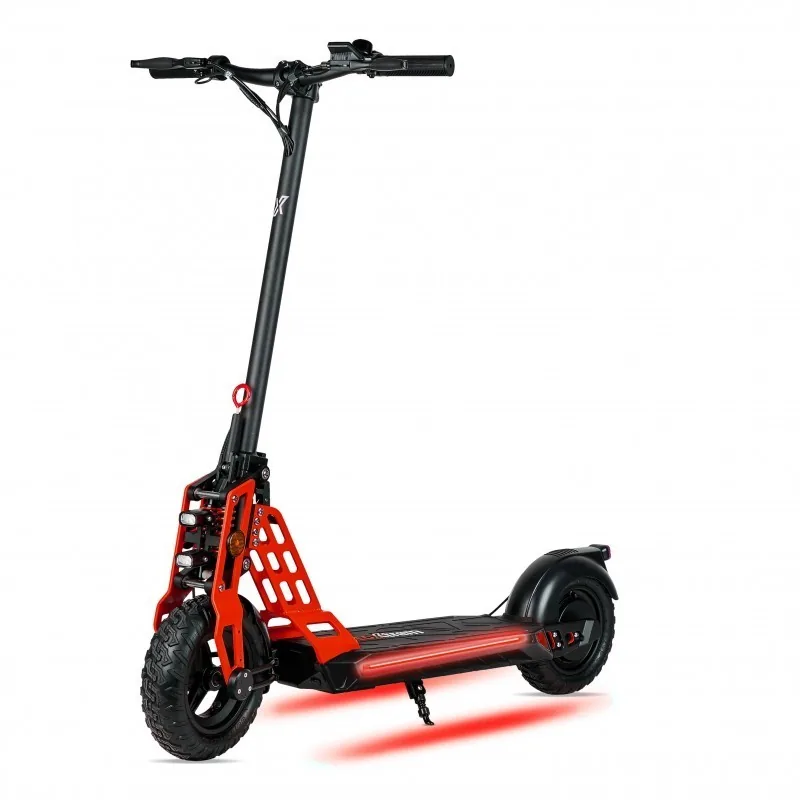 Ecoxtrem Bison vista 19