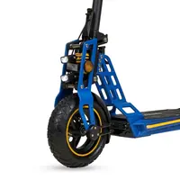 Ecoxtrem Bison vista 10